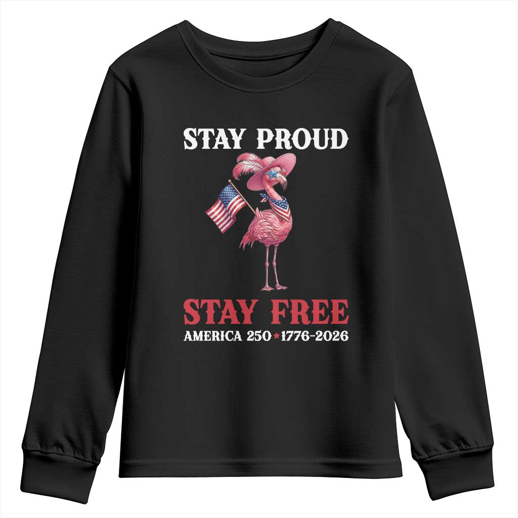 250 Years Anniversary Youth Sweatshirt Flamingo 4Th Of July Patriotic USA Independence Flamerica TS14 Black Print Your Wear