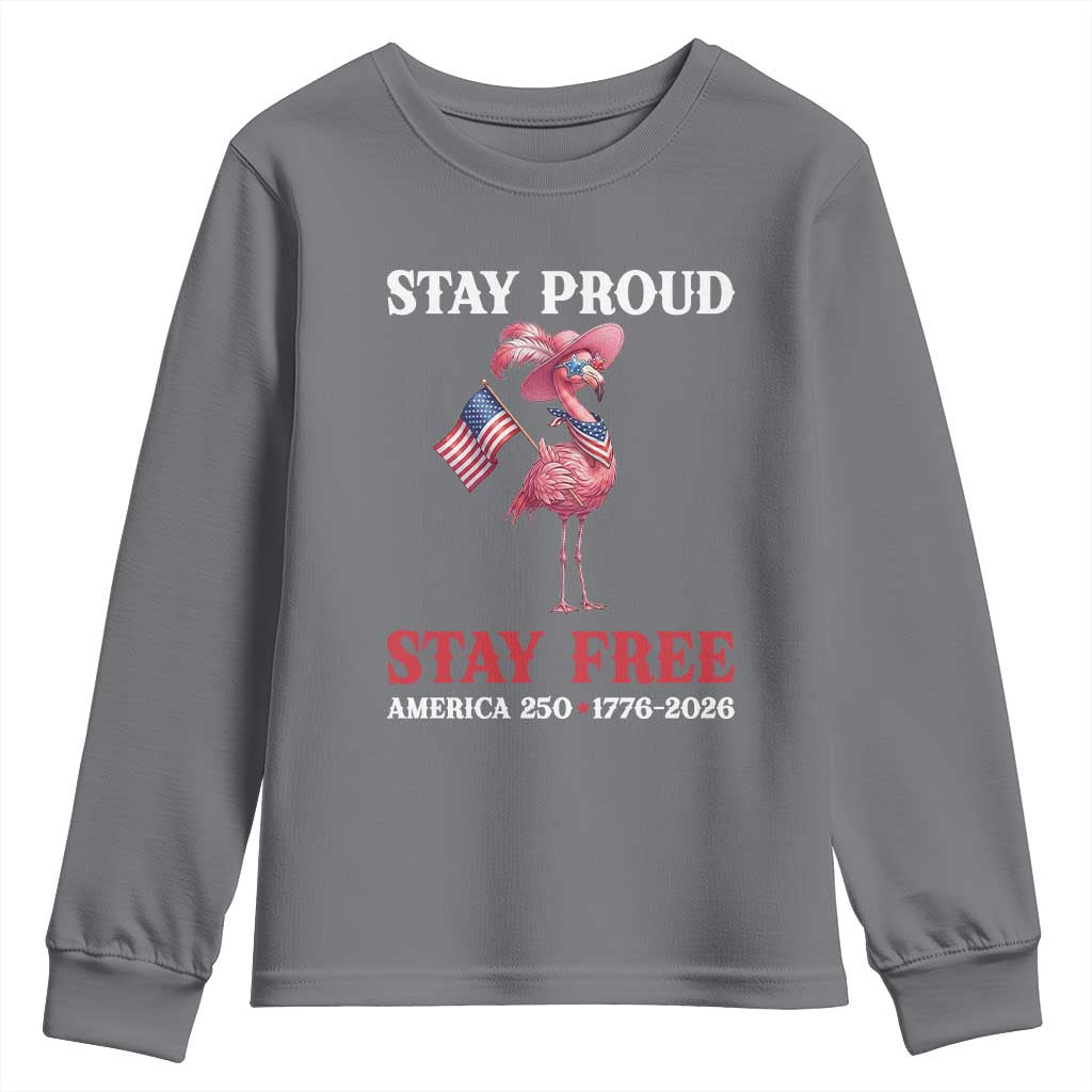 250 Years Anniversary Youth Sweatshirt Flamingo 4Th Of July Patriotic USA Independence Flamerica