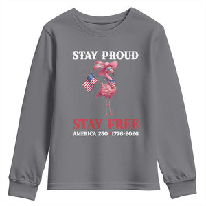 250 Years Anniversary Youth Sweatshirt Flamingo 4Th Of July Patriotic USA Independence Flamerica
