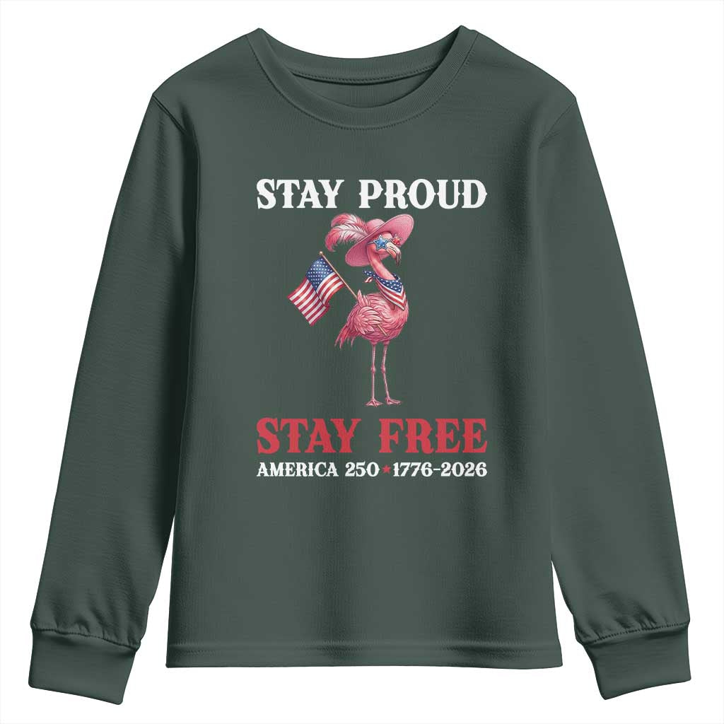 250 Years Anniversary Youth Sweatshirt Flamingo 4Th Of July Patriotic USA Independence Flamerica