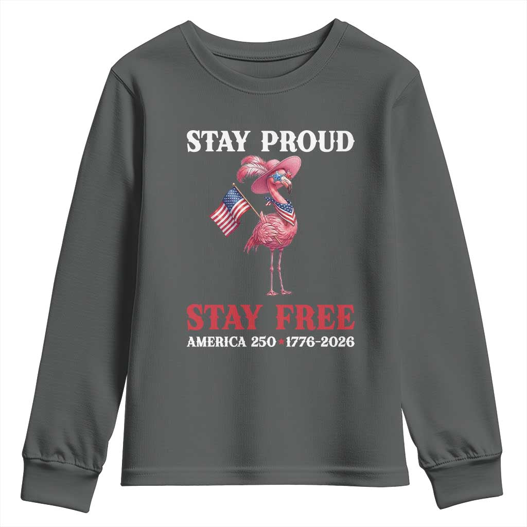 250 Years Anniversary Youth Sweatshirt Flamingo 4Th Of July Patriotic USA Independence Flamerica