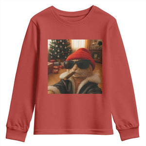 Funny Gangster Cats Christmas Youth Sweatshirt Smoking Kitten Meme - Print Your Wear