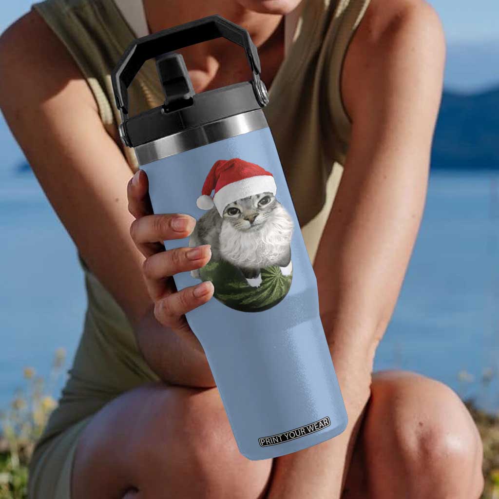 Watermelon Cat Christmas Flip Straw Tumbler Funny Silly Kitten Meme TS14 One Size: 30 oz Light Blue Print Your Wear