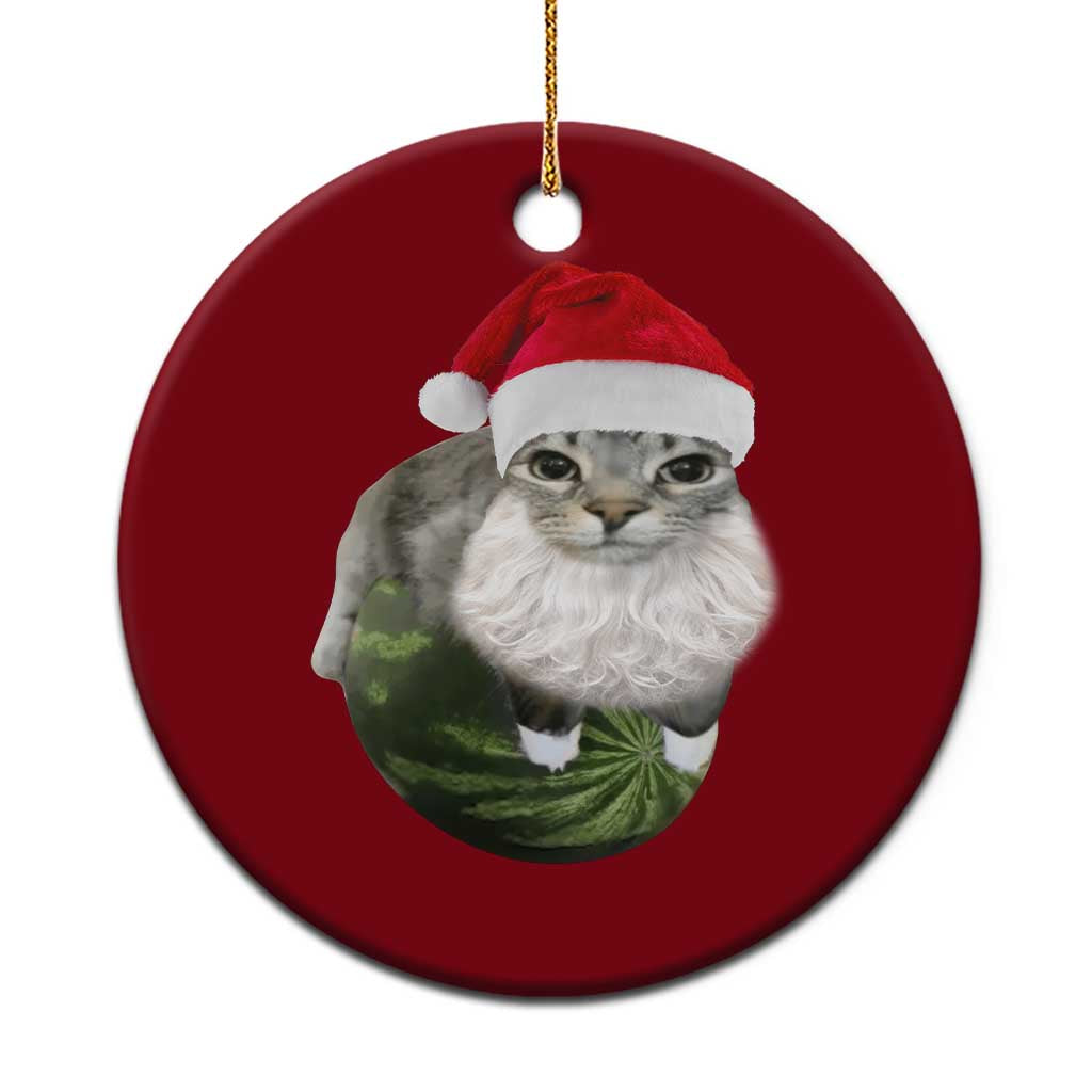 Watermelon Cat Xmas Ceramic Ornament Funny Silly Kitten Meme TS14 1pc Red Print Your Wear