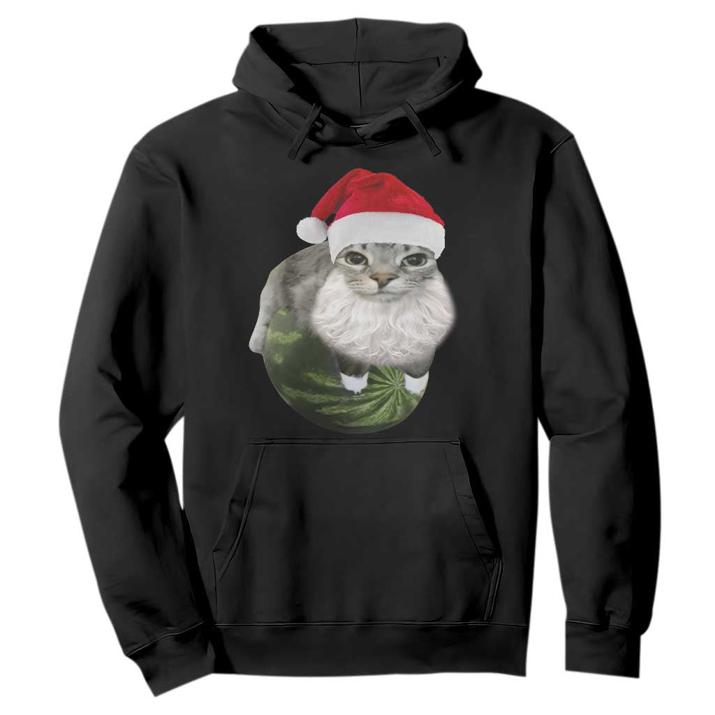 Watermelon Cat Christmas Hoodie Funny Silly Kitten Meme - Print Your Wear