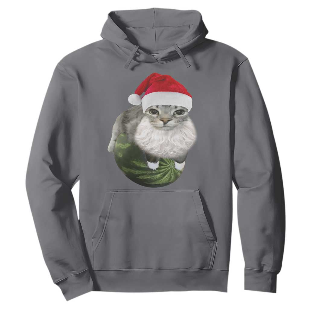Watermelon Cat Christmas Hoodie Funny Silly Kitten Meme TS14 Charcoal Print Your Wear