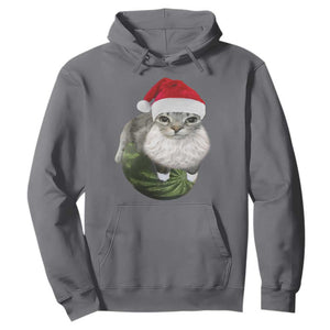 Watermelon Cat Christmas Hoodie Funny Silly Kitten Meme - Print Your Wear
