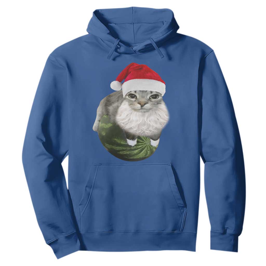 Watermelon Cat Christmas Hoodie Funny Silly Kitten Meme TS14 Royal Blue Print Your Wear