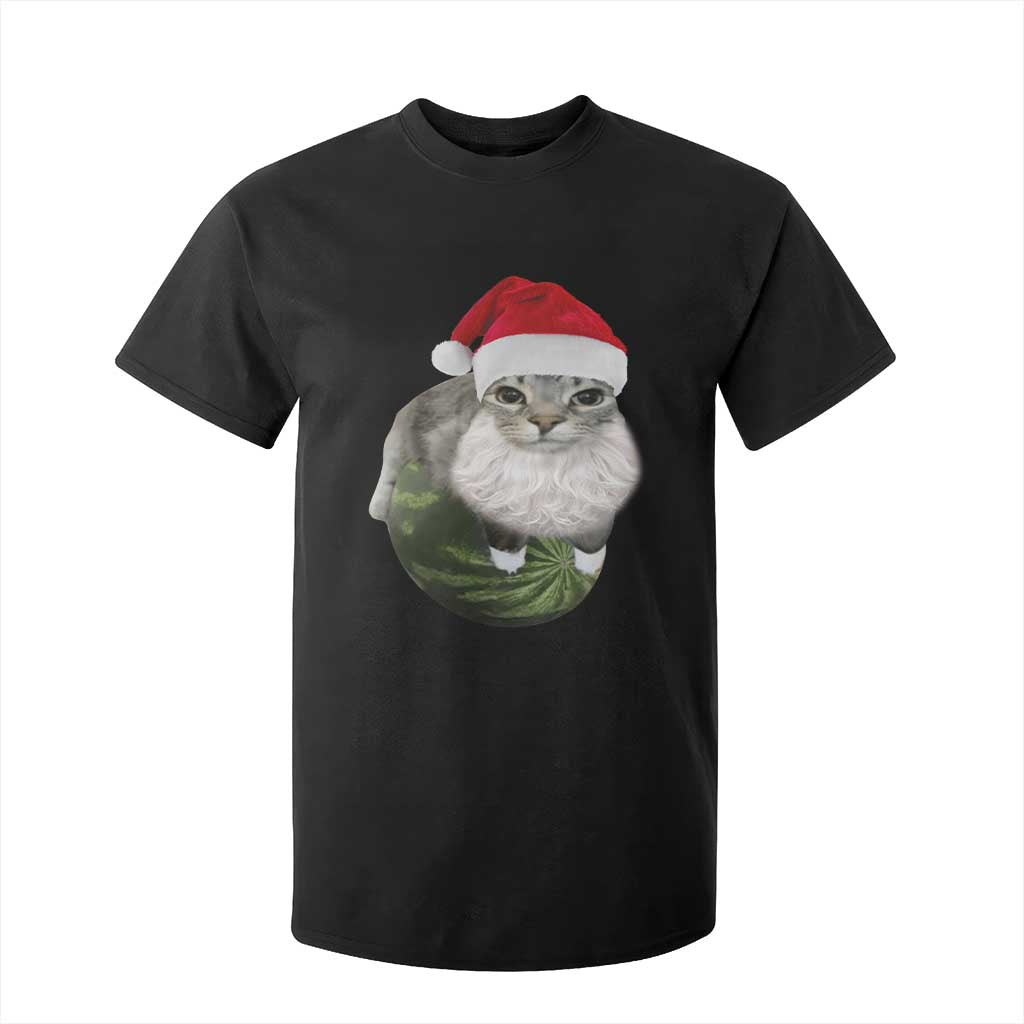Watermelon Cat Christmas T Shirt For Kid Funny Silly Kitten Meme - Print Your Wear