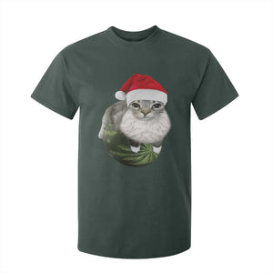 Watermelon Cat Christmas T Shirt For Kid Funny Silly Kitten Meme - Print Your Wear