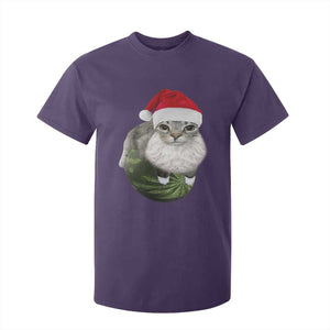 Watermelon Cat Christmas T Shirt For Kid Funny Silly Kitten Meme - Print Your Wear