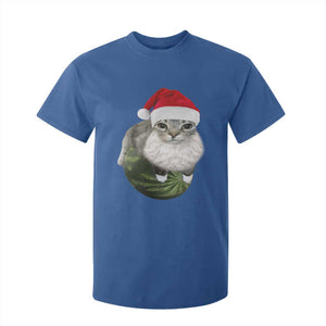 Watermelon Cat Christmas T Shirt For Kid Funny Silly Kitten Meme - Print Your Wear