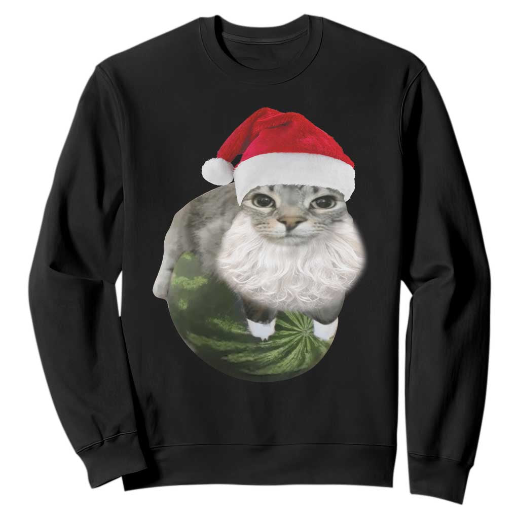Watermelon Cat Christmas Sweatshirt Funny Silly Kitten Meme - Print Your Wear