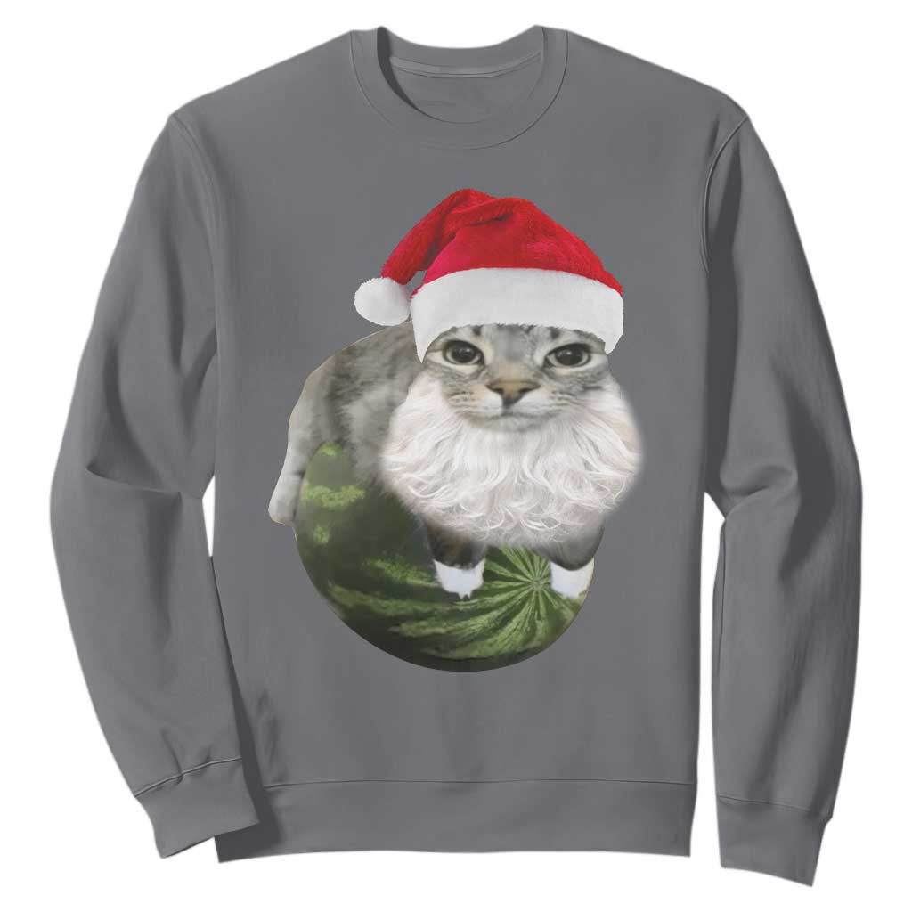 Watermelon Cat Christmas Sweatshirt Funny Silly Kitten Meme TS14 Charcoal Print Your Wear