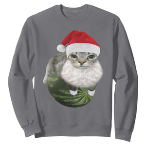 Watermelon Cat Christmas Sweatshirt Funny Silly Kitten Meme - Print Your Wear