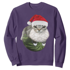 Watermelon Cat Christmas Sweatshirt Funny Silly Kitten Meme - Print Your Wear