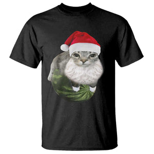 Watermelon Cat Christmas T Shirt Funny Silly Kitten Meme - Print Your Wear