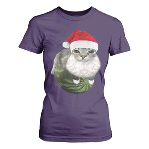 Watermelon Cat Christmas T Shirt For Women Funny Silly Kitten Meme - Print Your Wear