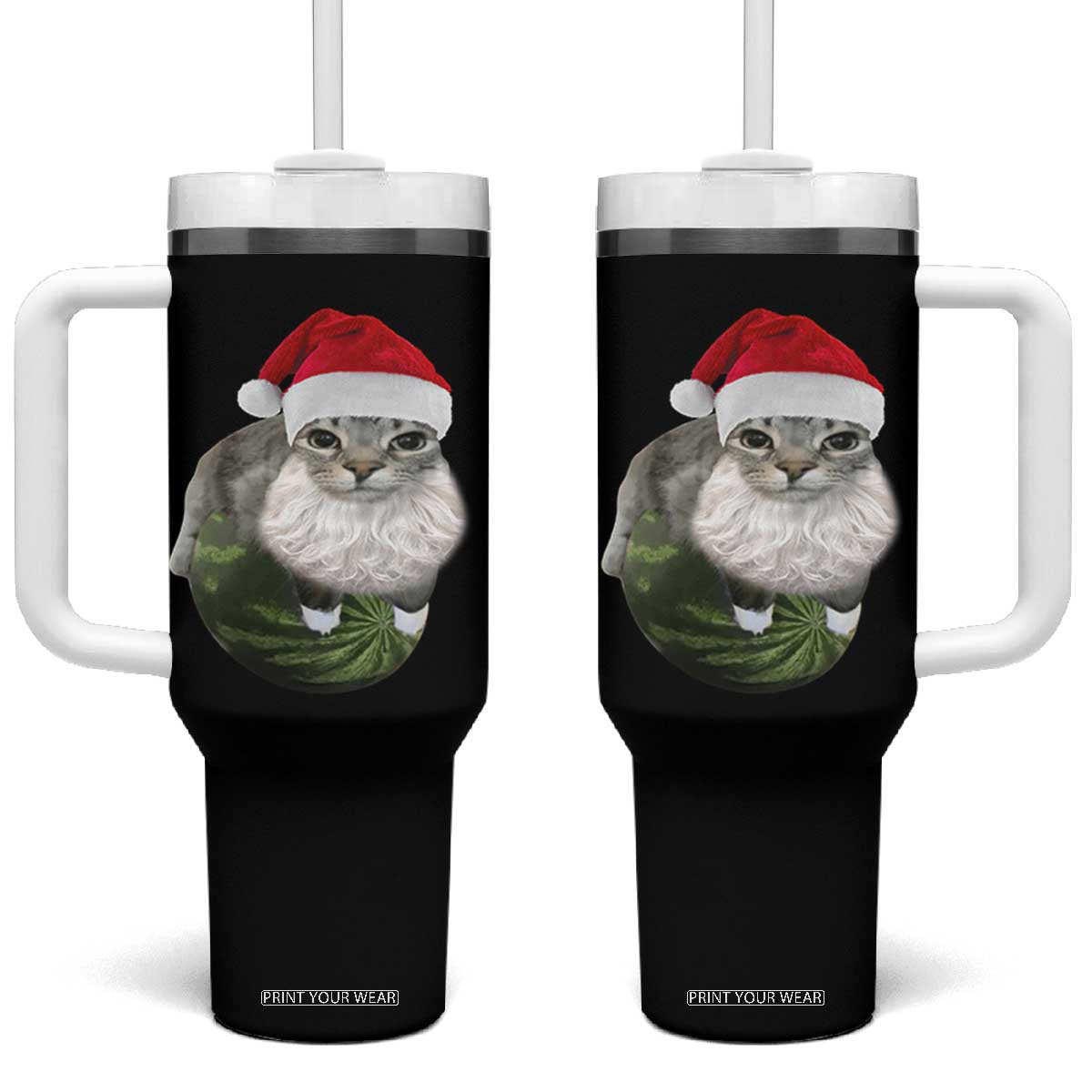 Watermelon Cat Christmas Tumbler With Handle Funny Silly Kitten Meme - Print Your Wear