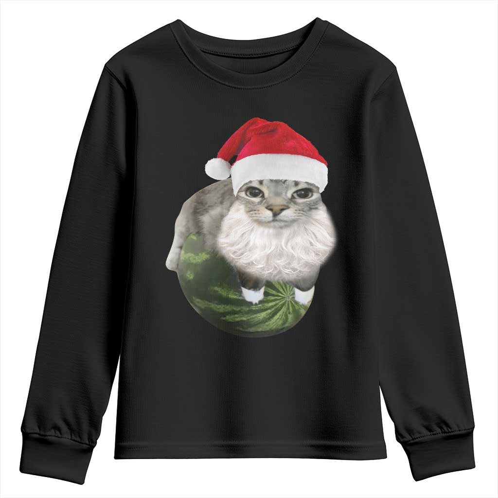 Watermelon Cat Christmas Youth Sweatshirt Funny Silly Kitten Meme - Print Your Wear