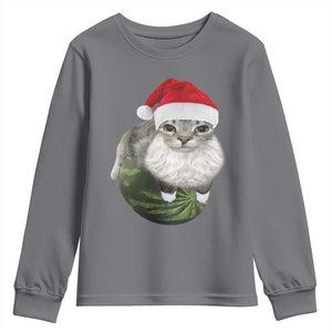 Watermelon Cat Christmas Youth Sweatshirt Funny Silly Kitten Meme - Print Your Wear