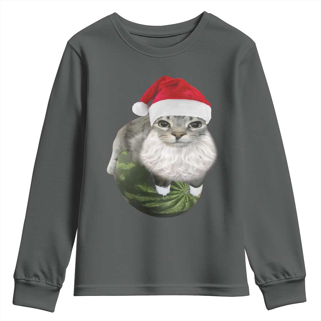 Watermelon Cat Christmas Youth Sweatshirt Funny Silly Kitten Meme TS14 Dark Heather Print Your Wear