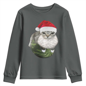 Watermelon Cat Christmas Youth Sweatshirt Funny Silly Kitten Meme TS14 Dark Heather Print Your Wear