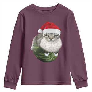 Watermelon Cat Christmas Youth Sweatshirt Funny Silly Kitten Meme TS14 Maroon Print Your Wear