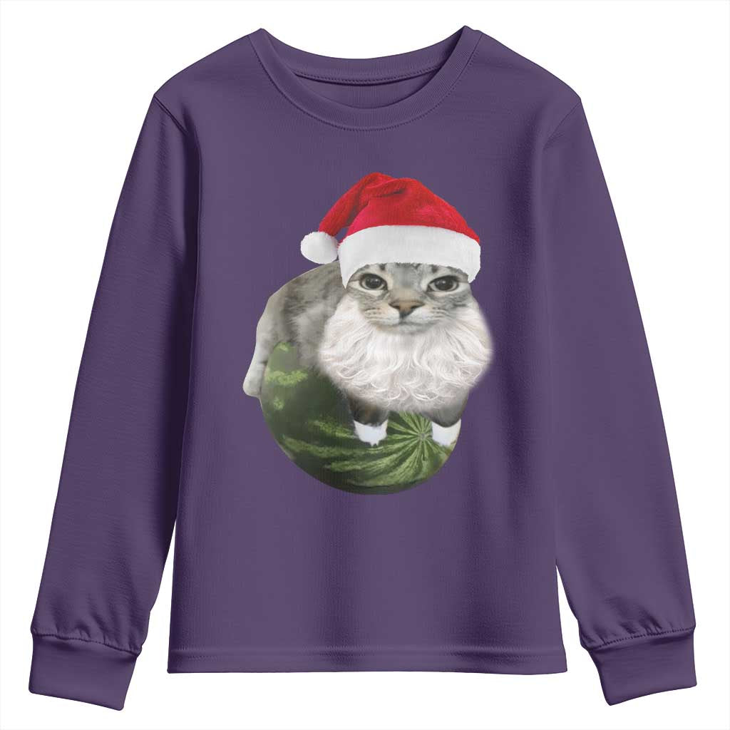 Watermelon Cat Christmas Youth Sweatshirt Funny Silly Kitten Meme TS14 Purple Print Your Wear
