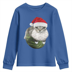 Watermelon Cat Christmas Youth Sweatshirt Funny Silly Kitten Meme TS14 Royal Blue Print Your Wear