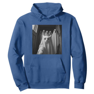 Funny Ghost Cat Halloween Meme Hoodie TS14 Royal Blue Print Your Wear