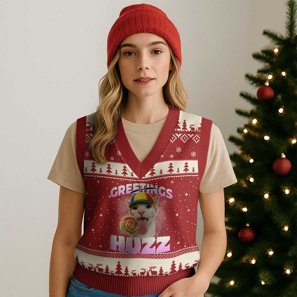 Funny Cat Meme V-Neck Knit Sweater Vest Greetings Huzz TS14 Red Beige Print Your Wear