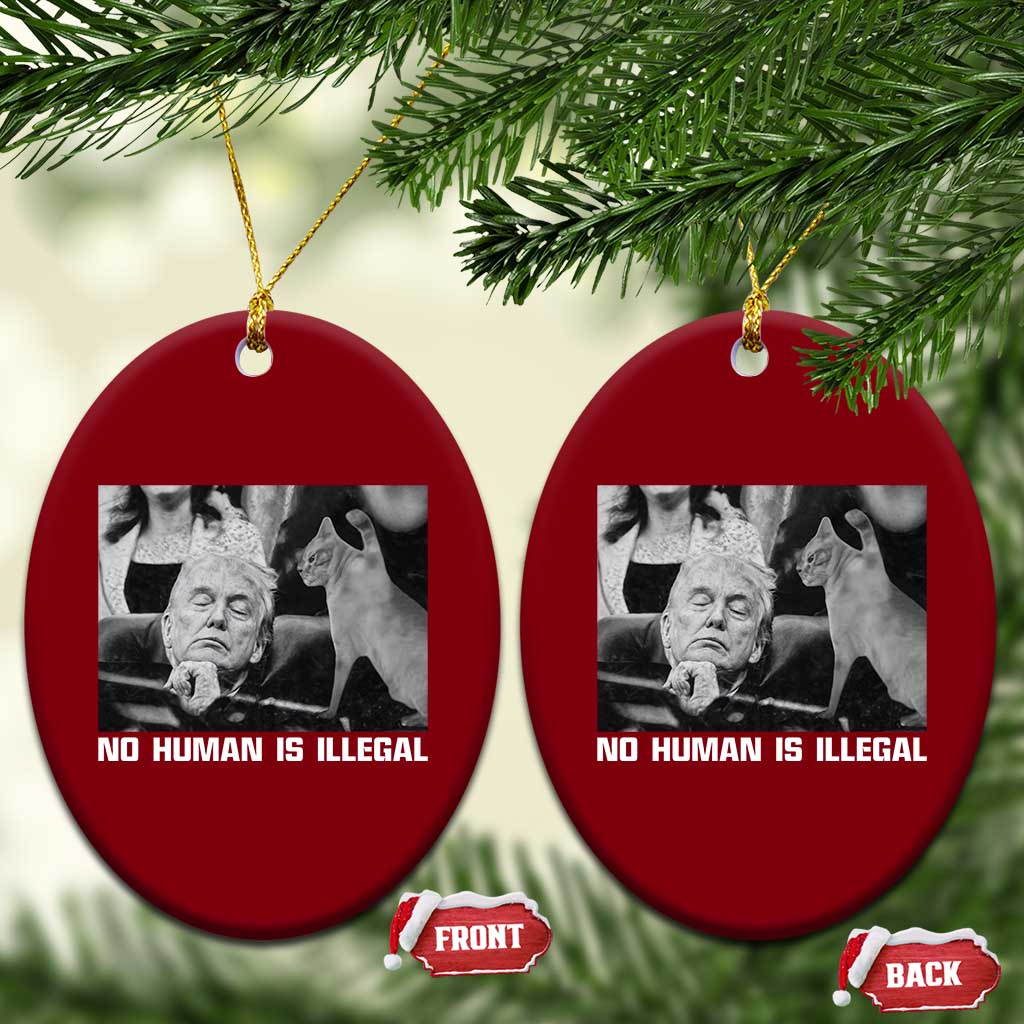 No Human Is Illegal Ceramic Ornament Funny Cat Anti ICE Meme TS14 Print Your Wear