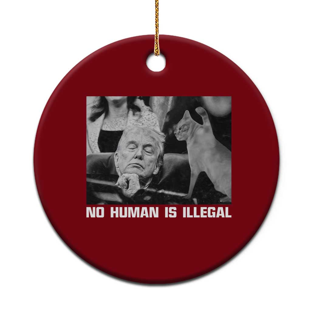 No Human Is Illegal Ceramic Ornament Funny Cat Anti ICE Meme TS14 1pc Red Print Your Wear