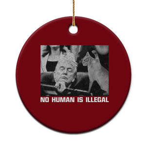 No Human Is Illegal Ceramic Ornament Funny Cat Anti ICE Meme TS14 1pc Red Print Your Wear