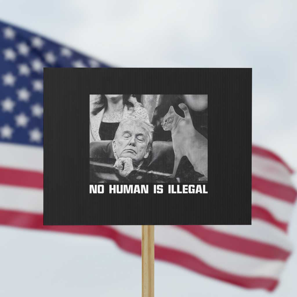 No Human Is Illegal Protest Sign Funny Cat Anti ICE Meme TS14 Horizontal 18