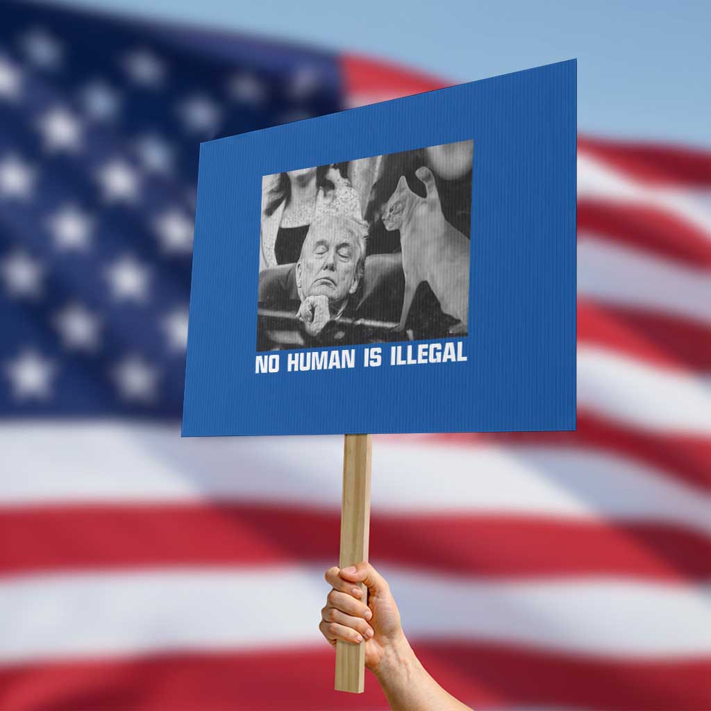No Human Is Illegal Protest Sign Funny Cat Anti ICE Meme TS14 Horizontal 18