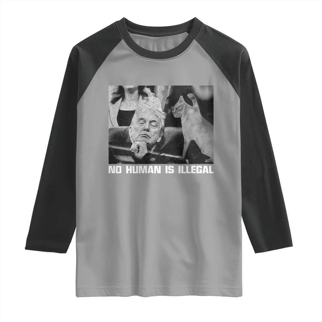 No Human Is Illegal Raglan Shirt Funny Cat Anti ICE Meme TS14 Sport Gray Black Print Your Wear