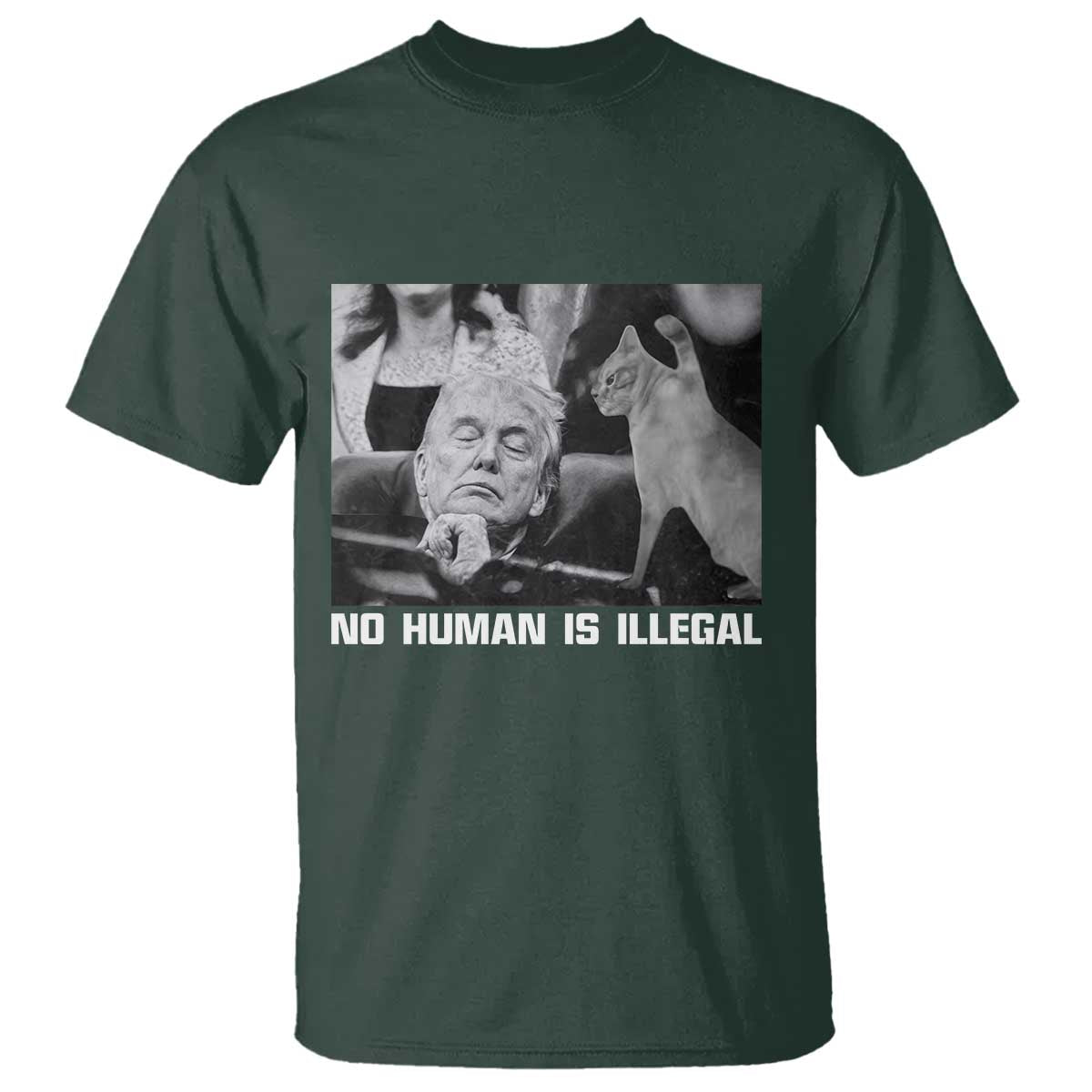 No Human Is Illegal T Shirt Funny Cat Anti ICE Meme TS14 Dark Forest Green Print Your Wear