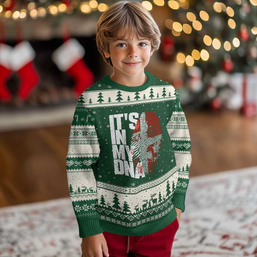 It's in My DNA Ugly Christmas Sweater Denmark Map Flag Danish Gift