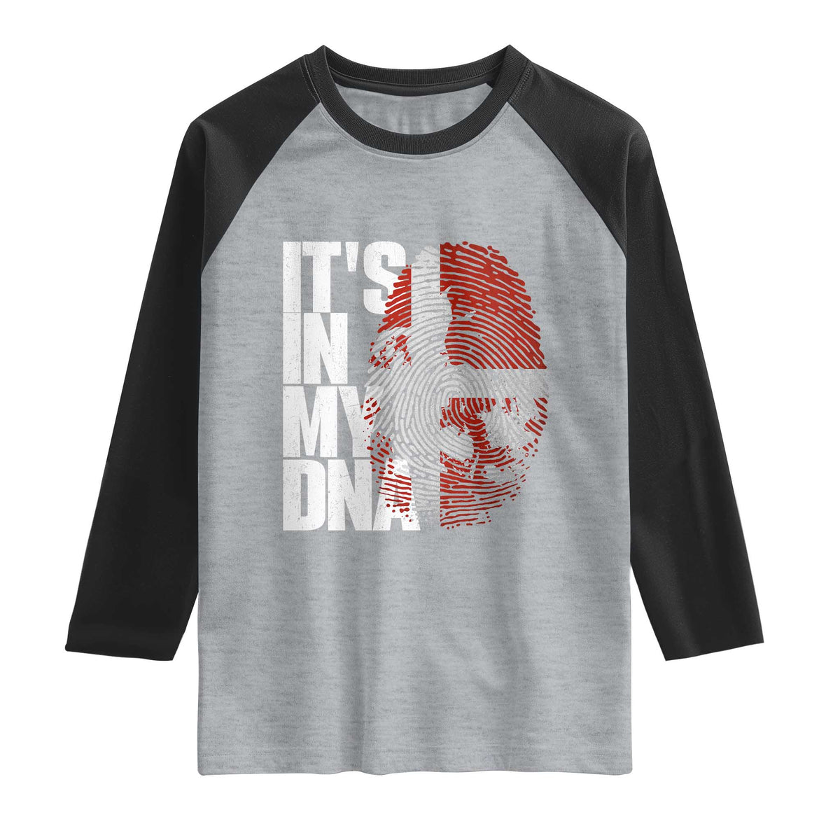 It's in My DNA Raglan Shirt Denmark Map Flag Danish Gift