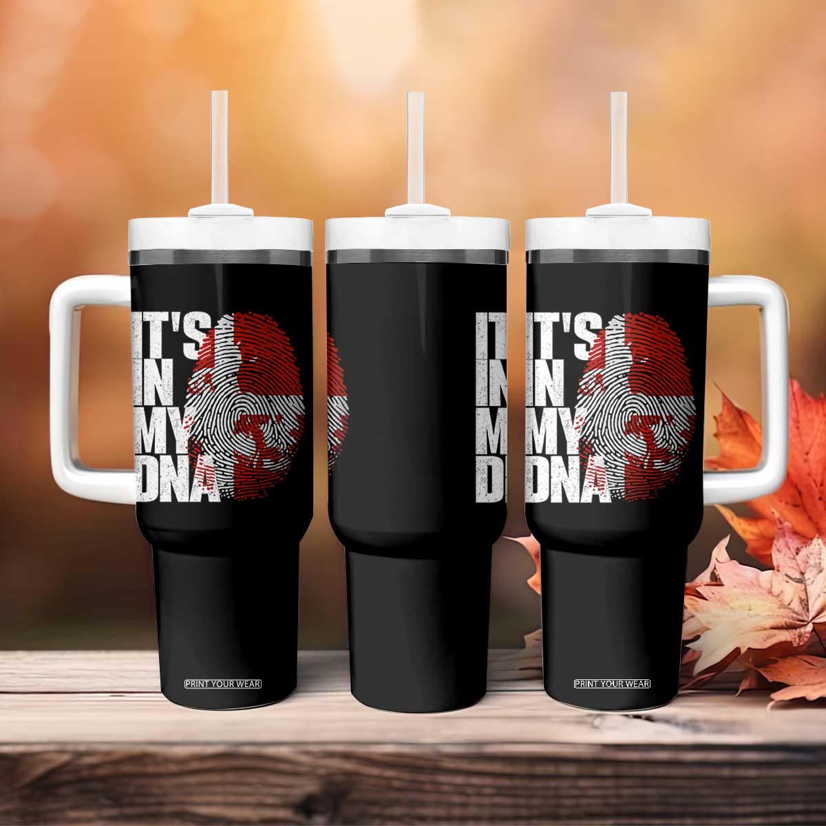 It's in My DNA Tumbler With Handle Denmark Map Flag Danish Gift