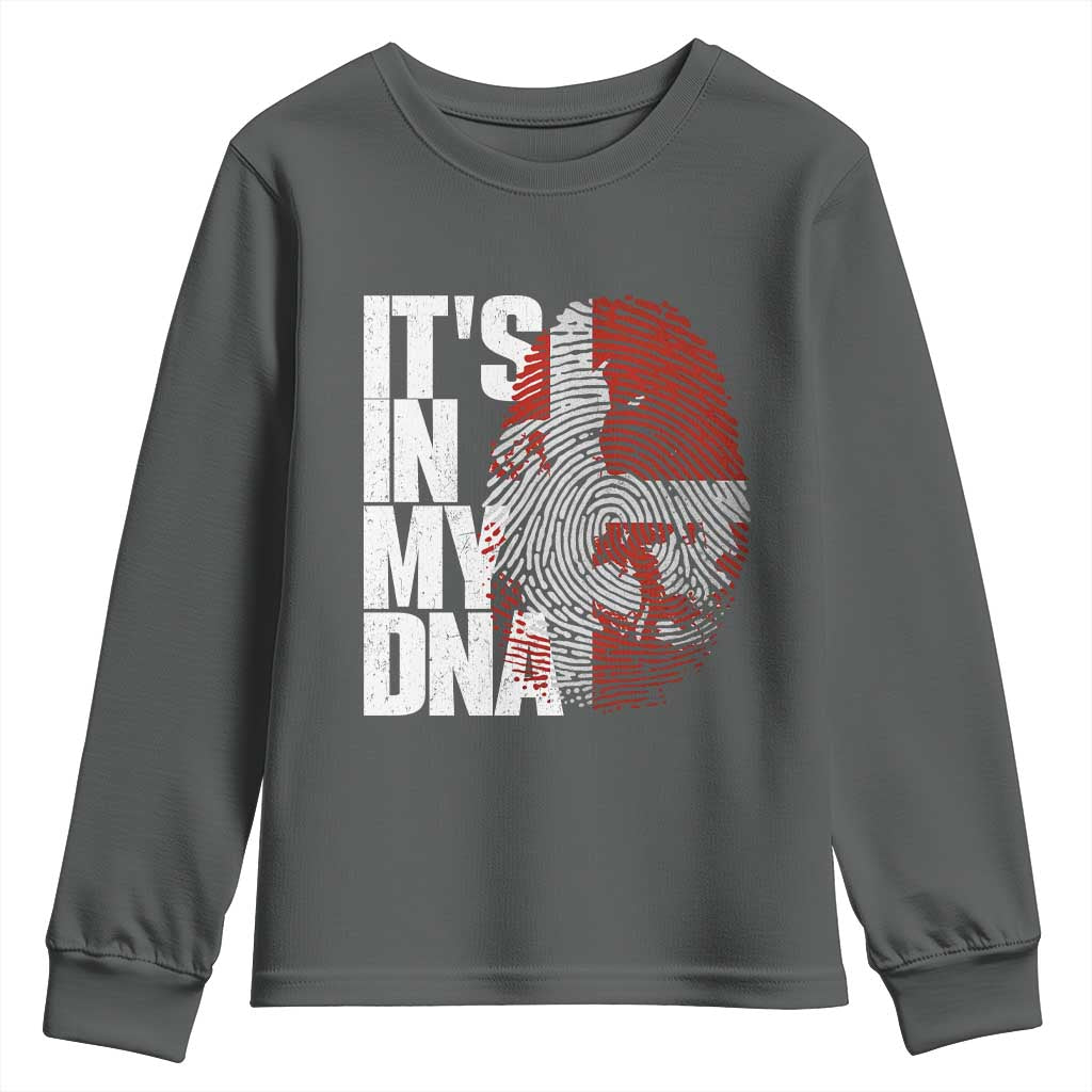 It's in My DNA Youth Sweatshirt Denmark Map Flag Danish Gift