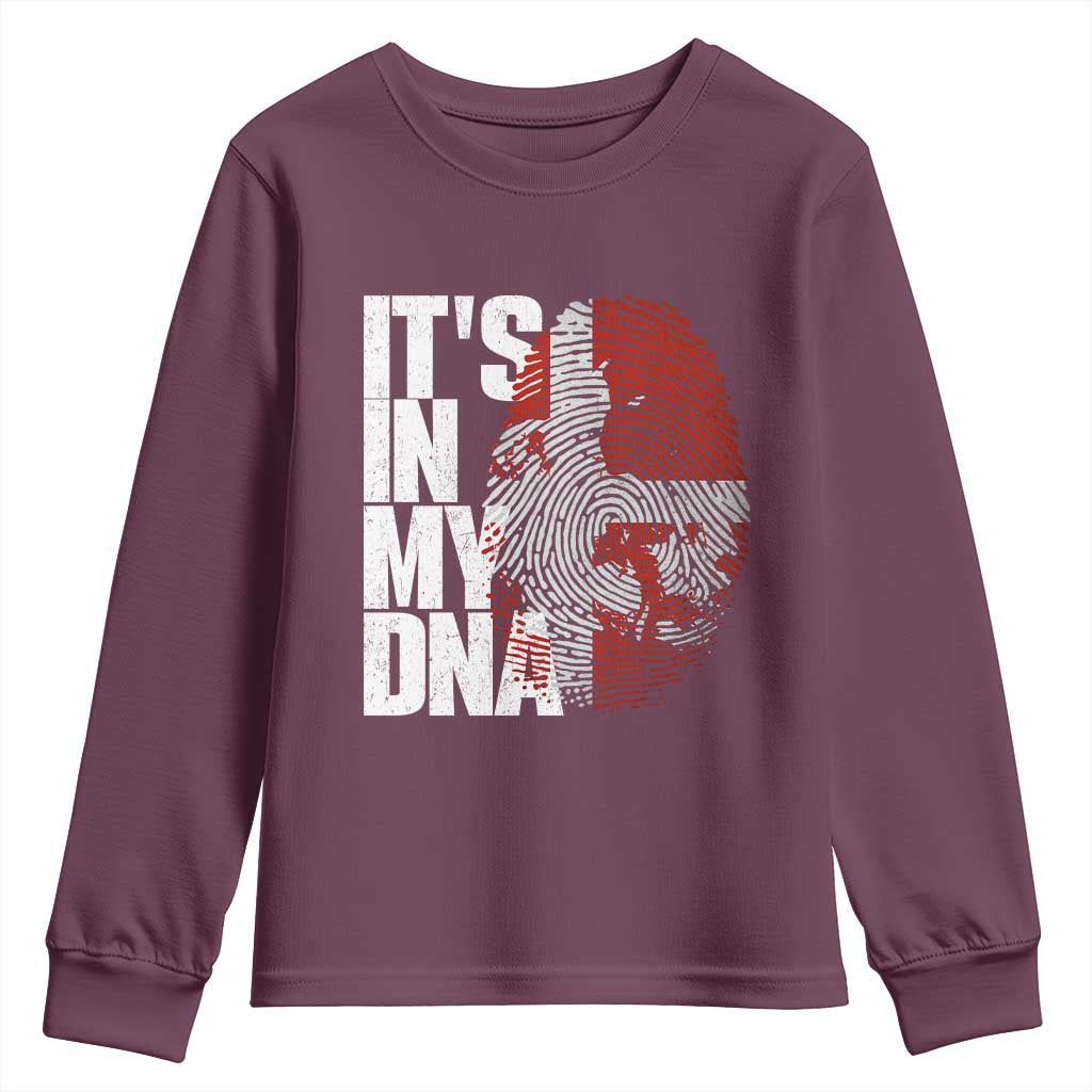 It's in My DNA Youth Sweatshirt Denmark Map Flag Danish Gift