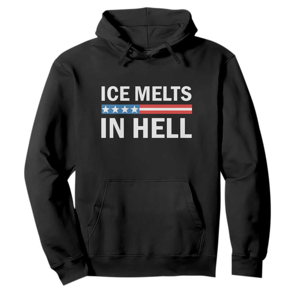 Ice Melts In Hell Hoodie Activist Statement Quote TS14 Black Print Your Wear