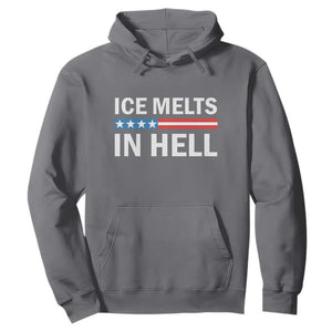 Ice Melts In Hell Hoodie Activist Statement Quote TS14 Charcoal Print Your Wear