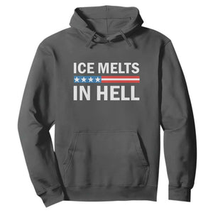 Ice Melts In Hell Hoodie Activist Statement Quote TS14 Dark Heather Print Your Wear
