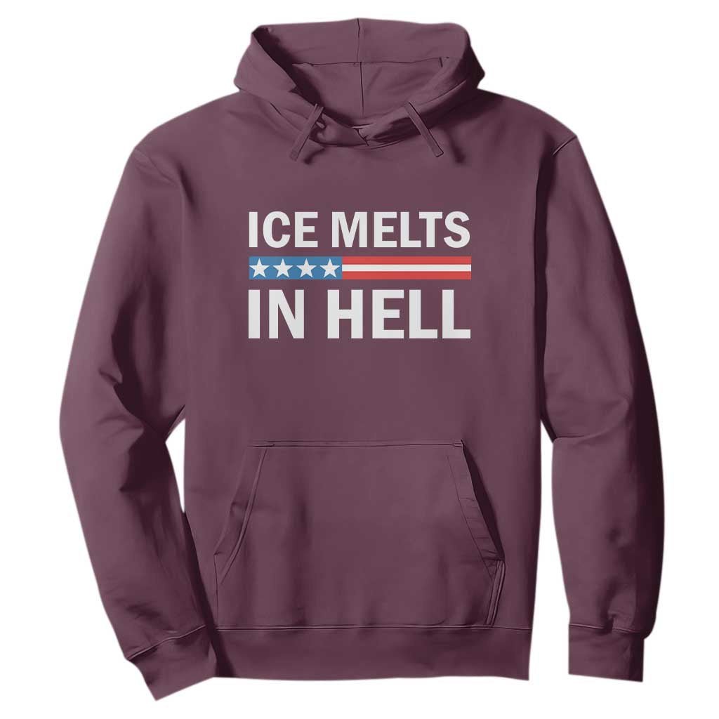 Ice Melts In Hell Hoodie Activist Statement Quote TS14 Maroon Print Your Wear