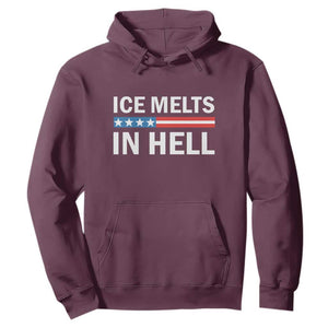 Ice Melts In Hell Hoodie Activist Statement Quote TS14 Maroon Print Your Wear