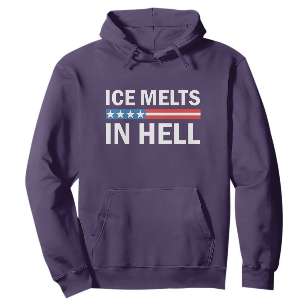 Ice Melts In Hell Hoodie Activist Statement Quote TS14 Purple Print Your Wear
